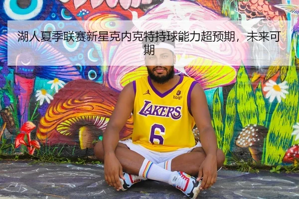 湖人夏季联赛新星克内克特持球能力超预期，未来可期