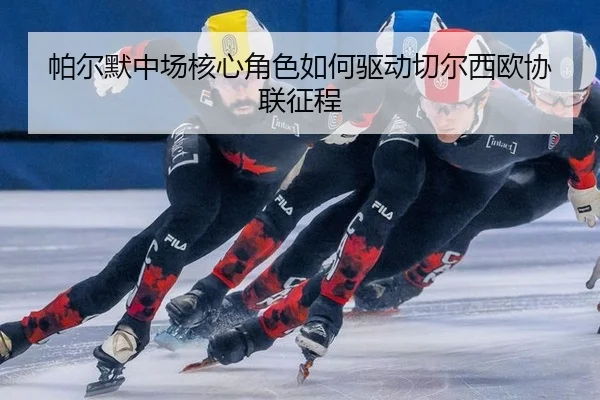 pa-er-mo-zhong-chang-he-xin-jue-se-ru-he-qu-dong-qie-er-xi-ou-xie-lian-zheng-cheng-3-695.jpg