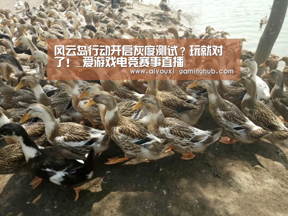 爱游戏电竞官网