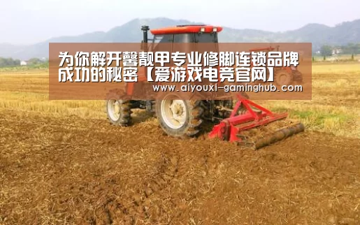 爱游戏电竞竞猜平台