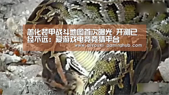 爱游戏娱乐