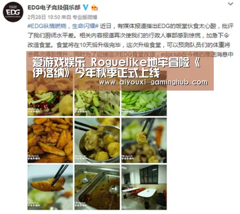爱游戏娱乐_Roguelike地牢冒险《伊洛纳》今年秋季正式上线(图1) 爱游戏电竞官网